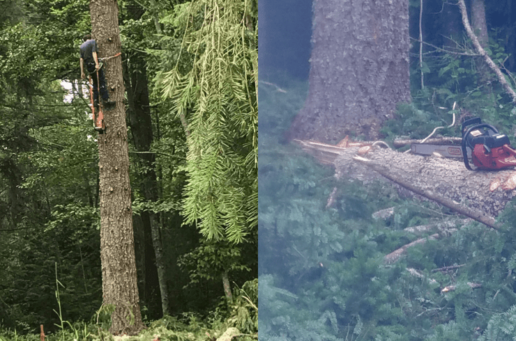 Racing River Land and Logging