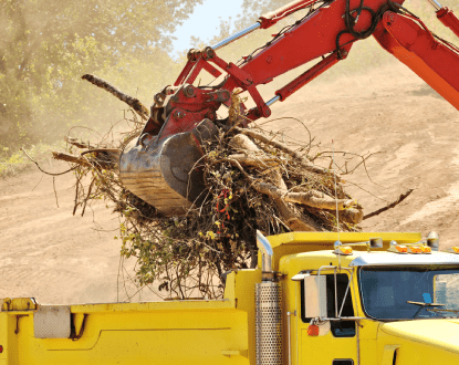 LAND CLEARING
